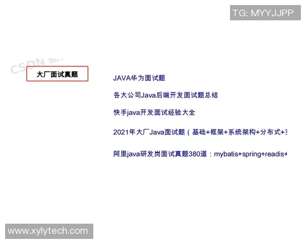 黄丽独家分享：从排球技巧到心理素质的全面心得体会